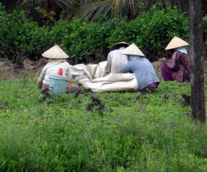 Vietnam Cycling Reviews - Field workers